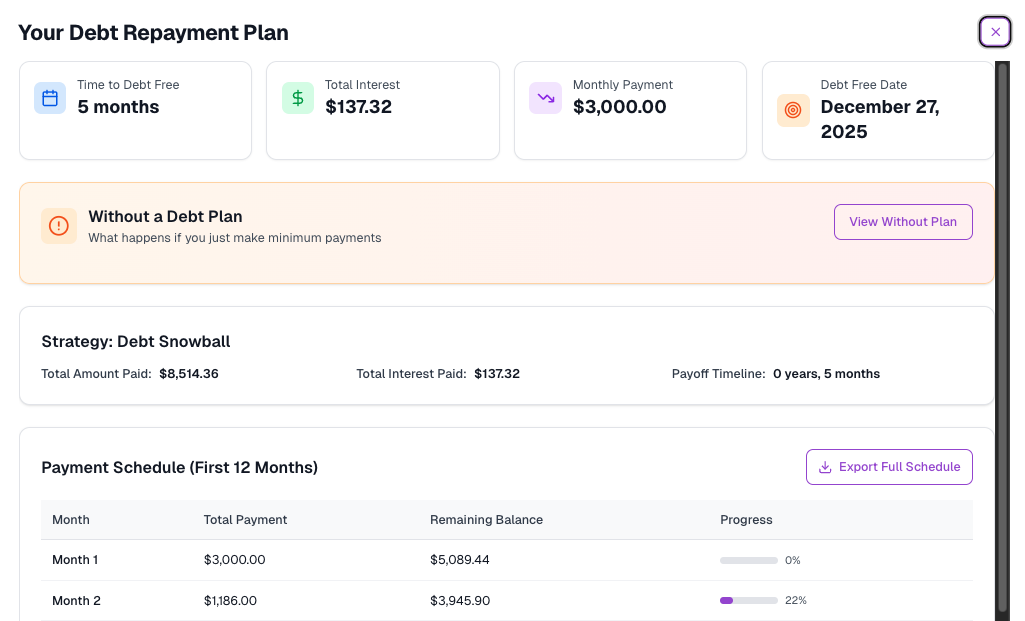 DebtAva Debt Management - Detailed view of debt tracking and payment planning